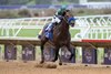 Full Serrano with Joel Rosario wins the Dirt Mile (G1) at Del Mar Racetrack in Del Mar, CA on November 2, 2024.