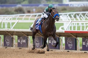 Full Serrano wins the 2024 Breeders' Cup Dirt Mile and aims for a repeat Nov. 1 at Del Mar