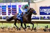 Full Serrano with Joel Rosario wins the Dirt Mile (G1) at Del Mar Racetrack in Del Mar, CA on November 2, 2024.