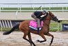 Dona Clota, Gulfstream Park, January 23 2025
Coglianese Photos/Nicole Thomas
