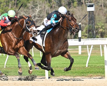 Nutella Fella wins the Pelican Stakes at Tampa Bay Downs