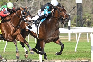 Nutella Fella wins the Pelican Stakes at Tampa Bay Downs