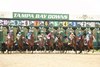 Destin and Javier Castellano win the Tampa Bay Derby for trainer Todd Pletcher and owner Randy Gullatt at Tampa Bay Downs on March 12, 2016.
Photos by: SV Photography