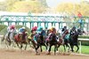 Scenics - Arkansas Derby - Oaklawn Park - 032925