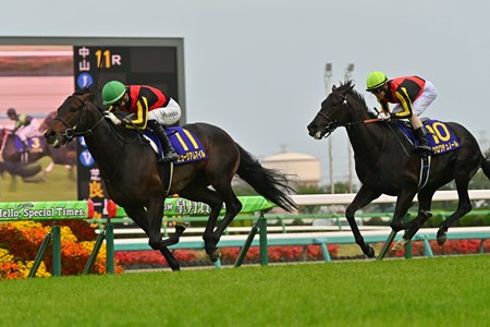 Museum Mile wins the Satsuki Sho at Nakayama Race Course