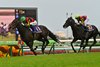 Museum Mile wins the 2025 Satsuki Sho at Nakayama Race Course
ridden by Joao Moreira, trained by Daisuke Takayanagi, and owned by Sunday Racing