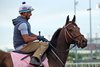 Take Charge Milady with Robby Albarado at Churchill Downs on April 26, 2025. Photo By: Chad B. Harmon