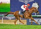Danon Decile wins the 2025 Dubai Sheema Classic at Meydan Racecourse