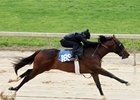 Hip 189, 1/8 in 10:1, 2025 Fasig-Tipton 2 Year-Olds in Training Sale, Timonium, MD