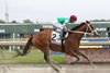 Carmelina #2 ridden by Paco Lopez won the $100,000 Unique Bella Stakes on June 15, 2025 at Parx Racing in Bensalem, Pa. Photo by Barbara Weidl/EQUI-PHOTO.