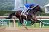 Sovereignty wins the 2025 Belmont Stakes at Saratoga Race Course