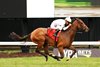 Whiskey Decision won the $150,000 Grade III Eatontown Stakes at Monmouth Park on Saturday June 14, 2025. Photo by Grace Harney/EQUI-PHOTO