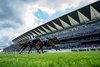 Mickael Barzalona and Calandagan beat Kalpana (Oisin Murphy) to win the King George
Ascot 26.7.25 Pic: Edward Whitaker