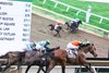 Journalism #1 with Umberto Rispoli riding won the $1,000,000 Grade I NYRA Bets Haskell Stakes at Monmouth Park Racetrack in Oceanport, NJ on Saturday July 19, 2025. Photo By Nikki Sherman/EQUI-PHOTO