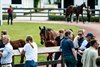 2025 Arqana Summer Sale
Arqana, Deauville, 03/07/2025, photo: Zuzanna Lupa