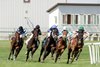 Encino wins 2025 Jonathan B. Schuster Memorial Stakes at Horseshoe Indianapolis