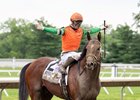 Journalism #2 with UImberto Rispoli riding won the $1,000,000 Grade I NYRA Bets Haskell Stakes at Monmouth Park Racetrack in Oceanport, NJ on Saturday July 19, 2025.  Photo By Joe Labozzetta/EQUI-PHOTO