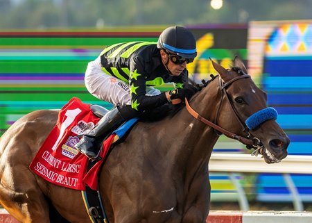 Seismic Beauty could give trainer Bob Baffert his first Breeders' Cup Distaff win