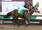 Jockey Jose Campos guides Souper Diva to victory in the $200,000 Muskoka Stakes at Woodbine for owner 6 Deep Stable and trainer Steven Chircop. Woodbine/Michael Burns Photo