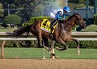 Book'em Danno wins the 2025 Forego Stakes at Saratoga Race Course