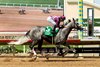 Pamela Ziebarth’s home-bred Sweet Azteca carries Juan Hernandez to victory in the Grade III $100,000 Rancho Bernardo Handicap Sunday, August 24, 2025 at Del Mar Thoroughbred Club, Del Mar, CA.
Benoit Photo