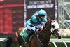 Little Trilby (GB) wins the 2025 Michael G. Walsh Novice Stakes at Saratoga