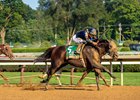 Sierra Leone and Flavien Prat win the G1 Whitney Stakes, Saratoga Racecourse, Saratoga Springs, NY, August 2, 2025, Javier Molina
