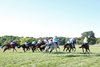 Wimbledon Hawkeye (GB) wins 2025 Nashville Derby Invitational Stakes at Kentucky Downs