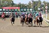 Action at Parx Racing in Bensalem, PA. Photo By Taylor Ejdys/EQUI-PHOTO