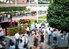 Arqana, Deauville, 18/08/2025, photo: Zuzanna Lupa