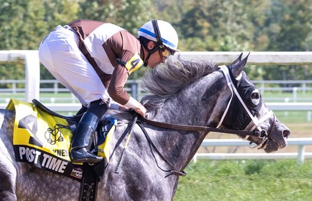 Post Time wins the Polynesian Stakes at Laurel Park