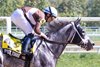 Post Time wins the 2025 Polynesian Stakes at Laurel Park