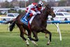 Sepals wins the 2025 Sir Rupert Clarke Stakes at Caulfield Racecourse
ridden by Craig Williams and trained by Cliff Brown