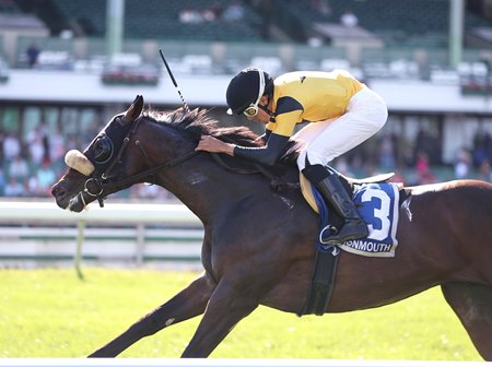 Cugino wins the Red Bank Stakes at Monmouth Park