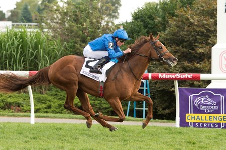 Notable Speech wins the Woodbine Mile Stakes
