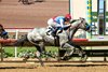 Zedan Racing Stables’ Brant and jockey Flavien Prat win the Grade I, $300,000 Del Mar Futurity, Sunday September 7, 2025 at Del Mar Thoroughbred Club, Del Mar, CA. The two-year-old son of Gun Runner gave trainer Bob Baffert his 19th win in the race.
Benoit Photo