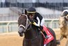 R Disaster wins the 2025 Gallant Bloom Stakes at Aqueduct Racetrack