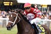 STELLIFY wins the 2025 Ladies Marathon Invitational Stakes at Kentucky Downs