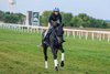 Shisospicy training September 2, 2025 with exercise rider Neftaly Perez at Kentucky Downs