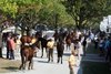 Scenics, 2025 Keeneland September Yearling Sale