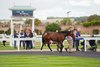 Lot 61, 2025 Tattersalls Somerville Yearling Sale
