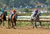 Zedan Racing Stables’ Brant and jockey Flavien Prat, right, win the Grade I, $300,000 Del Mar Futurity, Sunday September 7, 2025 at Del Mar Thoroughbred Club, Del Mar, CA. The two-year-old son of Gun Runner gave trainer Bob Baffert his 19th win in the race.
Benoit Photo