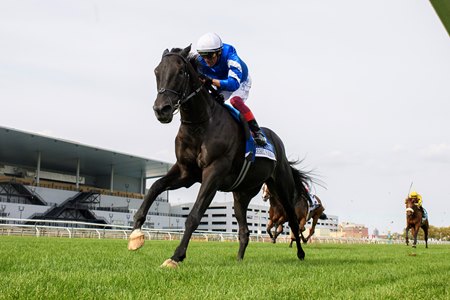 Rebel's Romance wins the Joe Hirsch Turf Classic Stakes at Aqueduct Racetrack