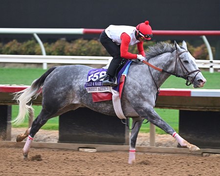 Sweet Azteca works Oct. 25 at Del Mar