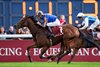 Diamond Necklace wins the 2025 Prix Marcel Boussac