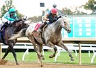 Hit Show wins the 2025 Fayette Stakes at Keeneland