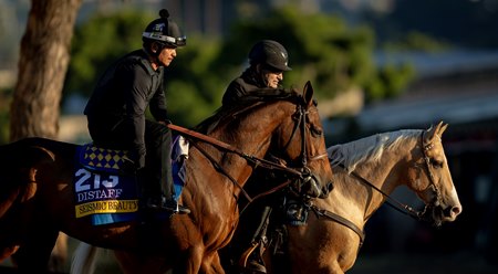 Seismic Beauty prepares for the Breeders’ Cup Distaff at Del Mar