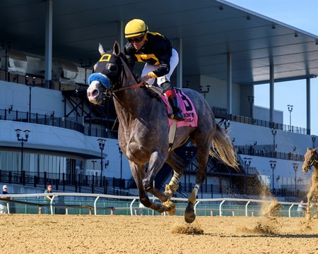 Napoleon Solo wins the Champagne Stakes at Aqueduct Racetrack