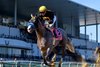 Napoleon Solo wins the 2025 Champagne Stakes at Aqueduct Racetrack