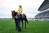 Powerful Glory (Jamie Spencer) 200/1 winner of the Sprint
Ascot 18.10.25 Pic: Edward Whitaker